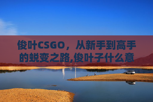 俊叶CSGO，从新手到高手的蜕变之路,俊叶子什么意思