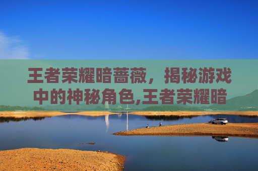 王者荣耀暗蔷薇，揭秘游戏中的神秘角色,王者荣耀暗蔷薇有什么用