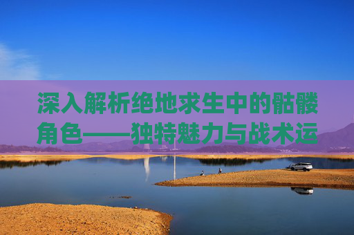 深入解析绝地求生中的骷髅角色——独特魅力与战术运用,pubg骷髅套