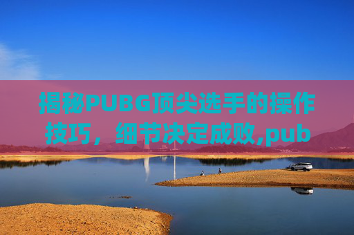 揭秘PUBG顶尖选手的操作技巧，细节决定成败,pubg职业选手灵敏度设置