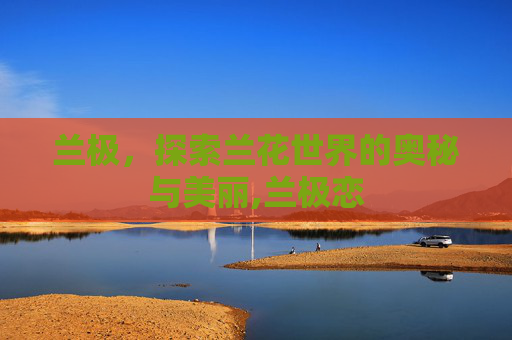兰极，探索兰花世界的奥秘与美丽,兰极恋