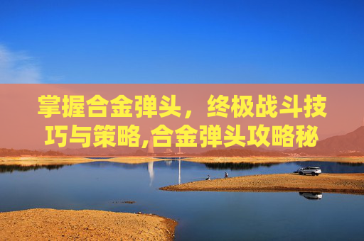 掌握合金弹头，终极战斗技巧与策略,合金弹头攻略秘籍