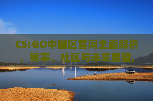 CS:GO中国区官网全面解析，赛事、社区与未来展望,csgo官网首页