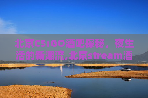 北京CS:GO酒吧探秘，夜生活的新潮流,北京stream酒吧