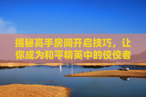 揭秘高手房间开启技巧，让你成为和平精英中的佼佼者！,和平精英高手房间怎么开麦克风