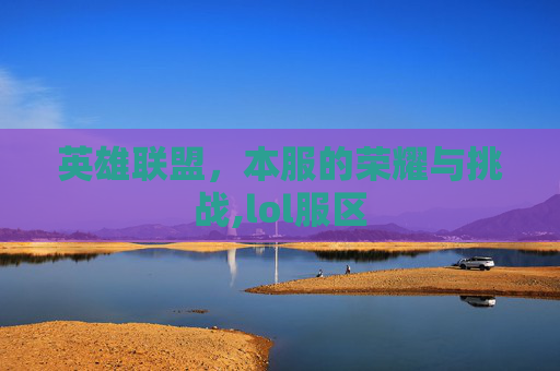 英雄联盟，本服的荣耀与挑战,lol服区