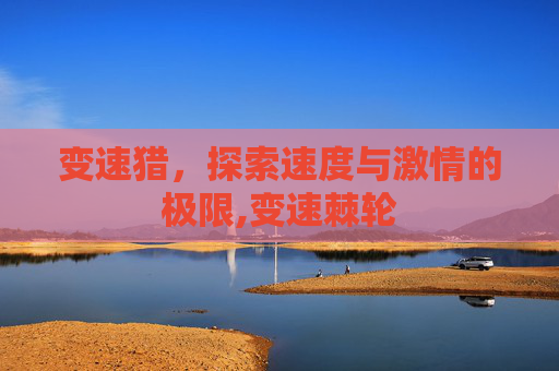 变速猎，探索速度与激情的极限,变速棘轮