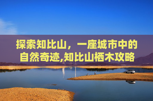 探索知比山，一座城市中的自然奇迹,知比山栖木攻略