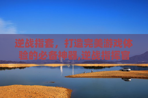 逆战指套，打造完美游戏体验的必备神器,逆战指挥官短剑