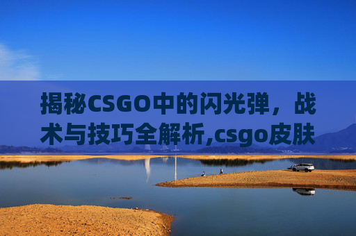 揭秘CSGO中的闪光弹，战术与技巧全解析,csgo皮肤枪文案