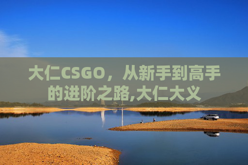 大仁CSGO，从新手到高手的进阶之路,大仁大义