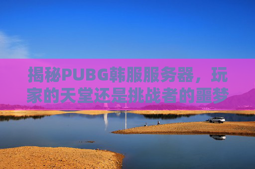 揭秘PUBG韩服服务器，玩家的天堂还是挑战者的噩梦？,PUBG服务器