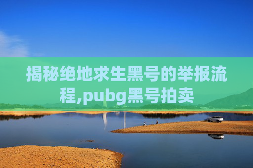 揭秘绝地求生黑号的举报流程,pubg黑号拍卖