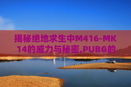 揭秘绝地求生中M416-MK14的威力与秘密,PUBG的mk14免费皮肤
