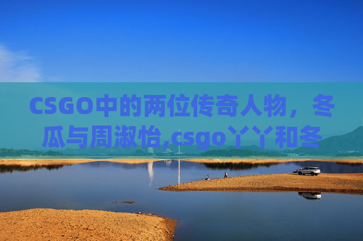 CSGO中的两位传奇人物，冬瓜与周淑怡,csgo丫丫和冬瓜强