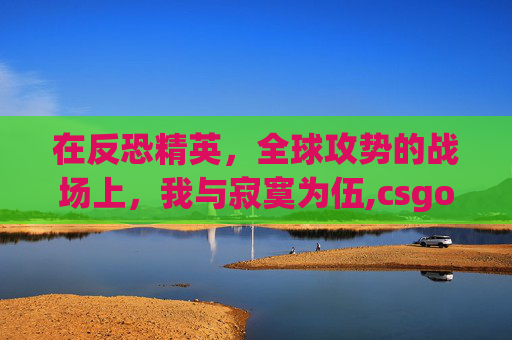 在反恐精英，全球攻势的战场上，我与寂寞为伍,csgo文案短句