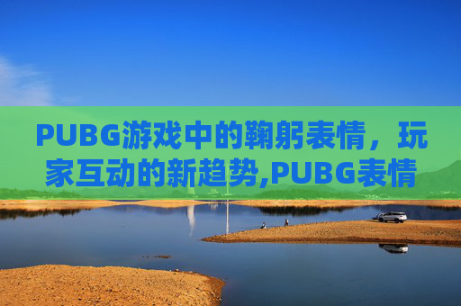 PUBG游戏中的鞠躬表情，玩家互动的新趋势,PUBG表情