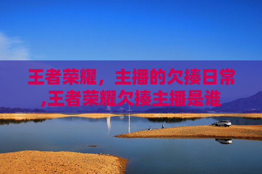 王者荣耀，主播的欠揍日常,王者荣耀欠揍主播是谁
