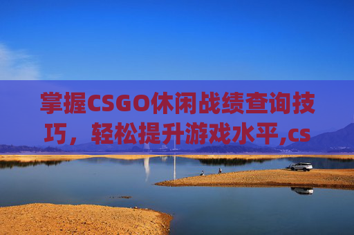 掌握CSGO休闲战绩查询技巧，轻松提升游戏水平,csgo怎么查看休闲战绩记录