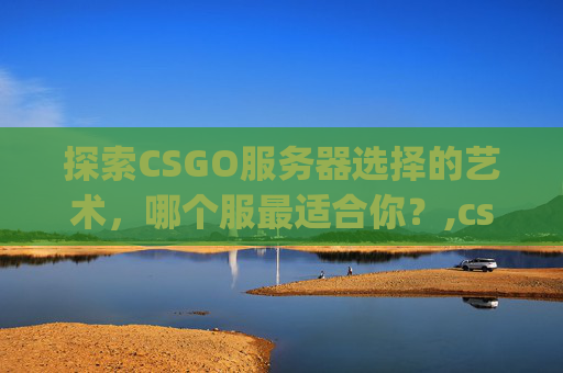 探索CSGO服务器选择的艺术,哪个服最适合你?,csgo玩不了社区服-第1张图片-游戏守望资讯网 探索CSGO服务器选择的艺术,哪个服最适合你?,csgo玩不了社区服-第1张图片-游戏守望资讯网
