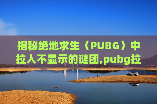 揭秘绝地求生（PUBG）中拉人不显示的谜团,pubg拉人最快最简单三个步骤