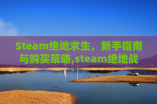 Steam绝地求生，新手指南与购买策略,steam绝地战兵
