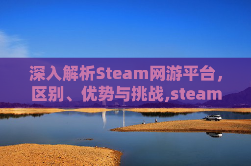 深入解析Steam网游平台，区别、优势与挑战,steam网游和单机的区别