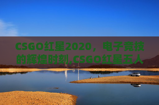 CSGO红星2020，电子竞技的辉煌时刻,CSGO红星五人组