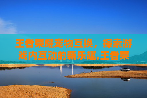 王者荣耀宠物互换，探索游戏内互动的新乐趣,王者荣耀互换位置