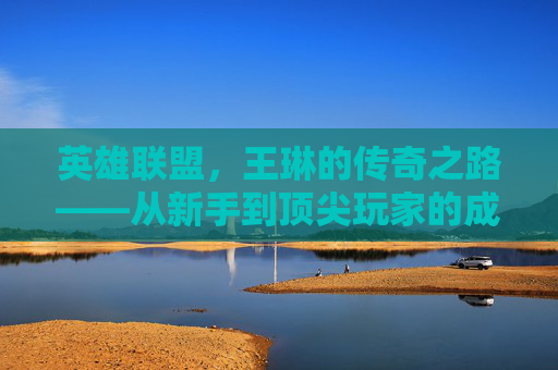 英雄联盟，王琳的传奇之路——从新手到顶尖玩家的成长之旅,王琳英文名字怎么取