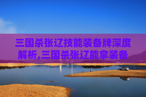 三国杀张辽技能装备牌深度解析,三国杀张辽能拿装备吗