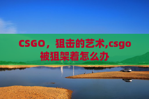 CSGO，狙击的艺术,csgo被狙架着怎么办