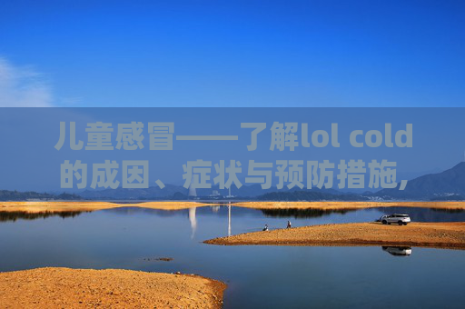 儿童感冒——了解lol cold的成因、症状与预防措施,儿童感冒联合用药