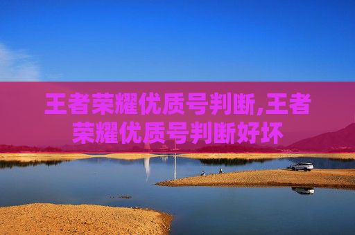 王者荣耀优质号判断,王者荣耀优质号判断好坏