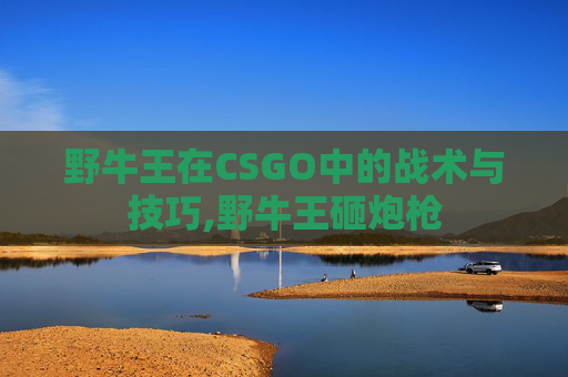 野牛王在CSGO中的战术与技巧,野牛王砸炮枪