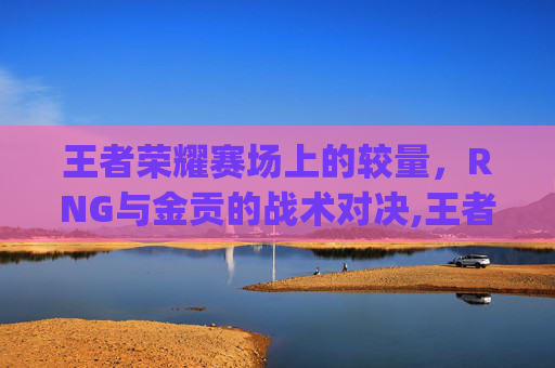 王者荣耀赛场上的较量，RNG与金贡的战术对决,王者荣耀rng和金贡的关系