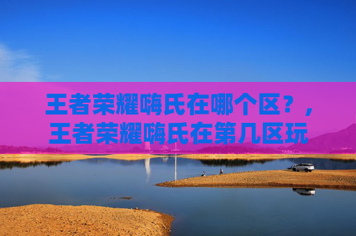 王者荣耀嗨氏在哪个区？,王者荣耀嗨氏在第几区玩