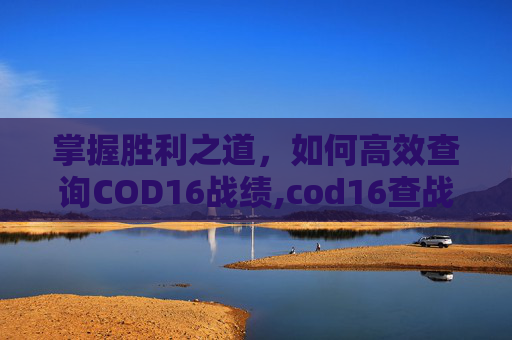掌握胜利之道，如何高效查询COD16战绩,cod16查战绩网站
