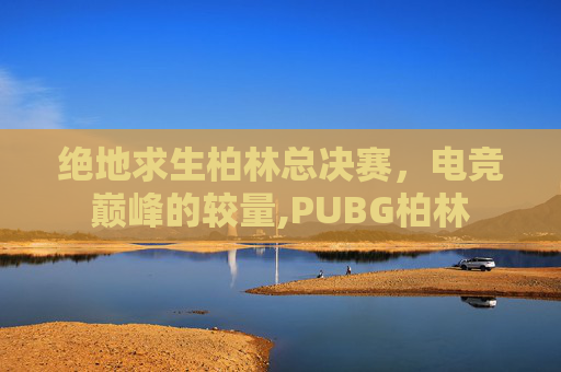 绝地求生柏林总决赛，电竞巅峰的较量,PUBG柏林