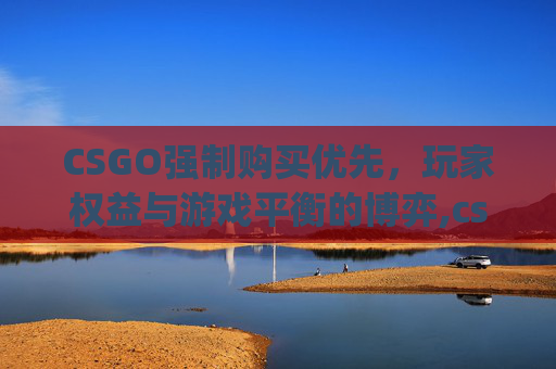 CSGO强制购买优先，玩家权益与游戏平衡的博弈,csgo新版购买优先