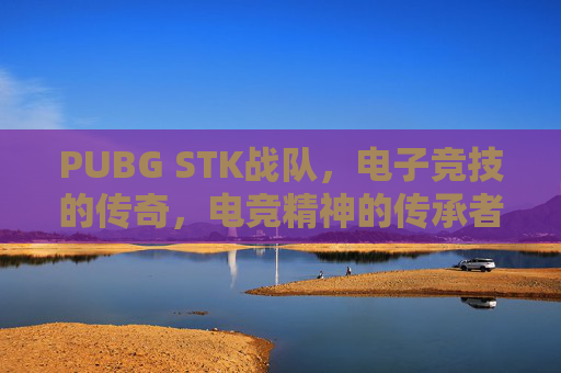 PUBG STK战队，电子竞技的传奇，电竞精神的传承者,PUBG战队