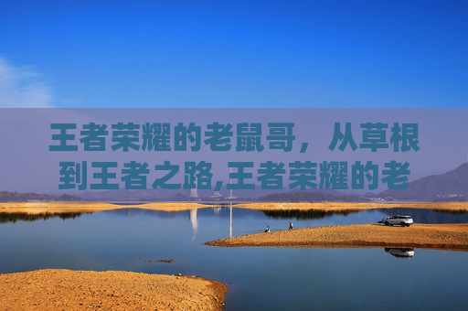 王者荣耀的老鼠哥，从草根到王者之路,王者荣耀的老鼠哥怎么玩