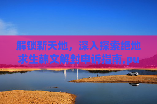 解锁新天地，深入探索绝地求生韩文解封申诉指南,pubg解封申诉成功案例