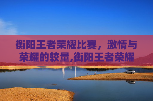 衡阳王者荣耀比赛，激情与荣耀的较量,衡阳王者荣耀比赛地点