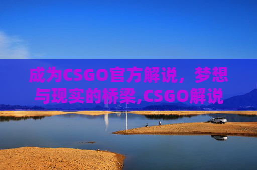 成为CSGO官方解说，梦想与现实的桥梁,CSGO解说