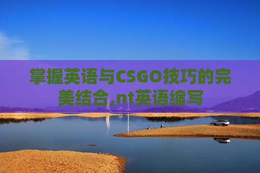 掌握英语与CSGO技巧的完美结合,nt英语缩写