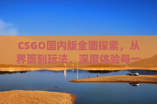 CSGO国内版全面探索，从界面到玩法，深度体验每一处体验,csgo国内代理