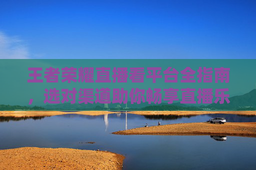 王者荣耀直播看平台全指南，选对渠道助你畅享直播乐趣,王者荣耀直播哪里看回放视频