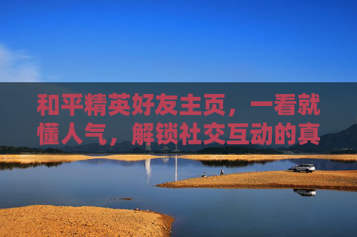 和平精英好友主页，一看就懂人气，解锁社交互动的真实价值,和平精英看好友主页怎么看