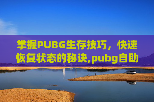 掌握PUBG生存技巧，快速恢复状态的秘诀,pubg自助恢复